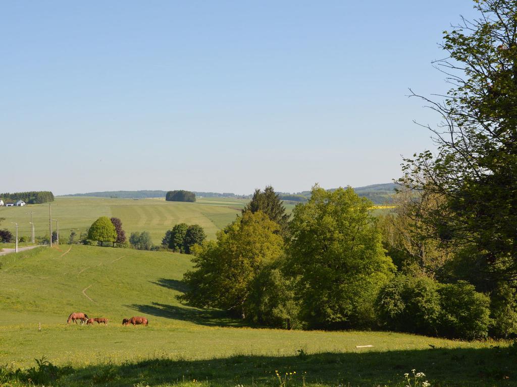 Attached Gite On The Edge Of The Forest Trois-Ponts Exterior foto